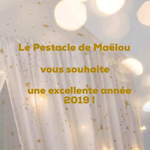 Nouvel an 2019 avec Le Pestacle de Maëlou